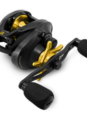 Multiplikator Delphin Zandera